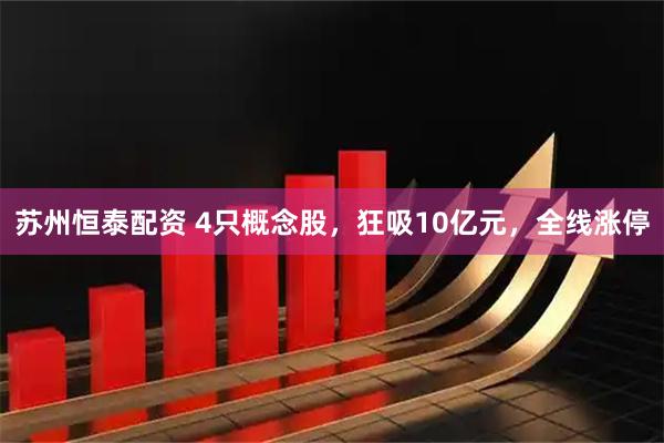 苏州恒泰配资 4只概念股，狂吸10亿元，全线涨停